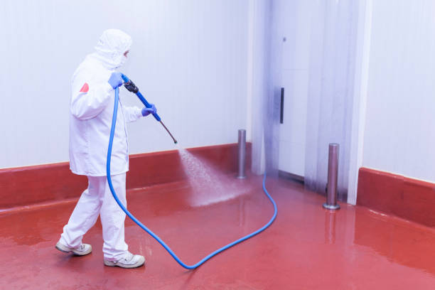 Best Pre-Holiday Cleaning  in Irvington, KY