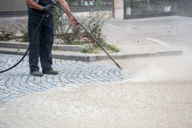 Best Fence Cleaning  in Irvington, KY